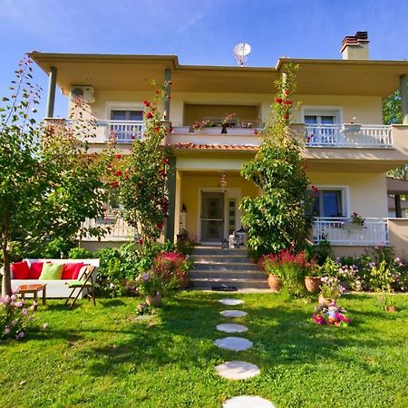 Angel Villa - Thassos Town Екстер'єр фото