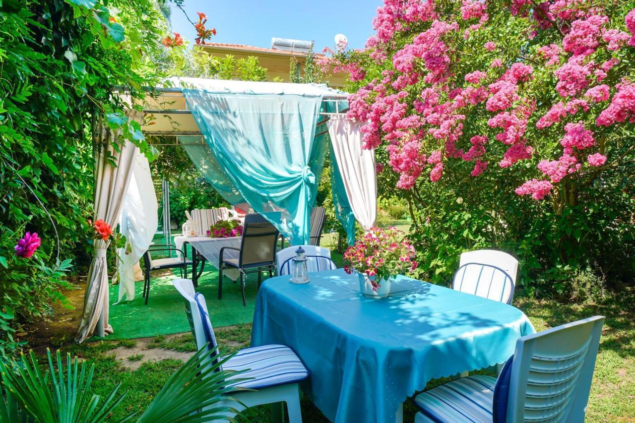 Angel Villa - Thassos Town Екстер'єр фото