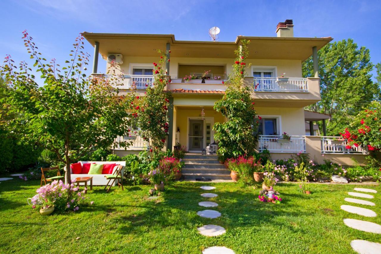 Angel Villa - Thassos Town Екстер'єр фото